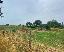 Terreno 1200 mq, zona Castiglione del Lago