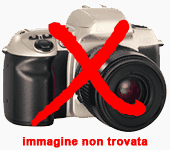 zoom immagine (FIAT Fiorino 1.3 MJT 95CV Combi Semivetrato)